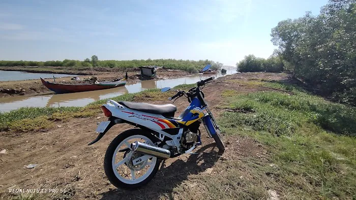 pantai pohijo 2