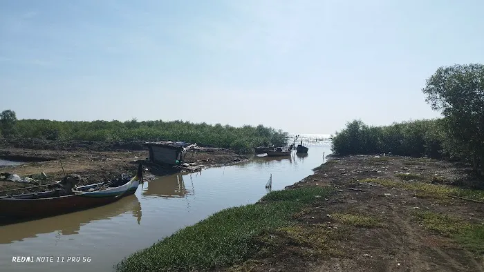pantai pohijo 5
