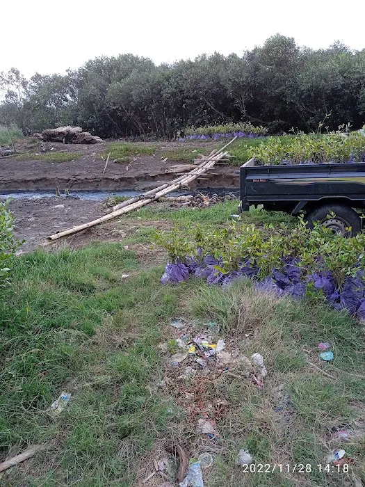 pantai pohijo 3
