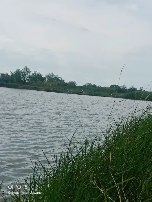 Pulau Seprapat Juwana 2