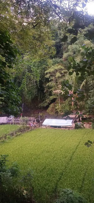 Wisata Air Pancor Kopong 5