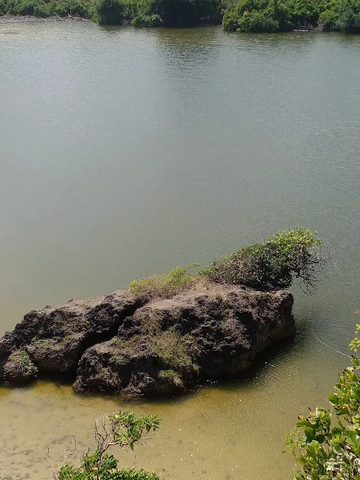 Tanjung panas labangka 5