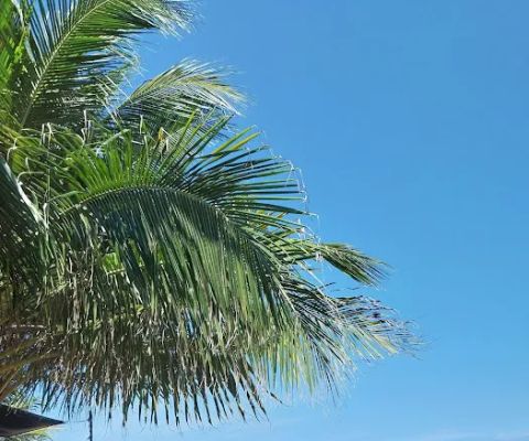 pantai cemara