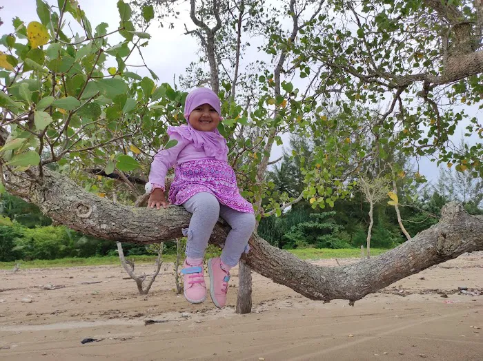 Pohon Indah Beach 0
