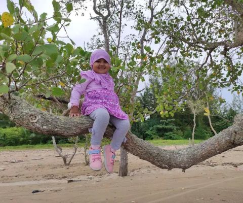 Pohon Indah Beach
