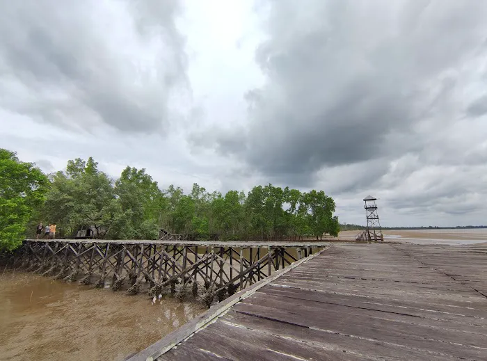 PANTAI HUTAN MANGROVE PENDOPO 0
