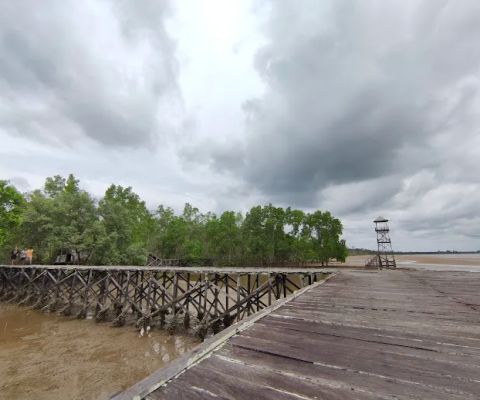 PANTAI HUTAN MANGROVE PENDOPO