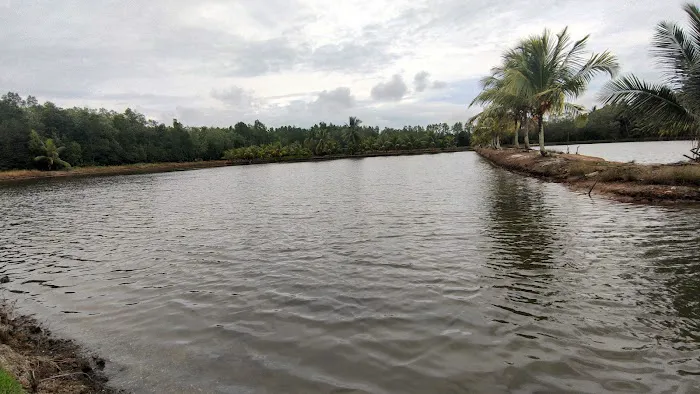 PANTAI HUTAN MANGROVE PENDOPO 3