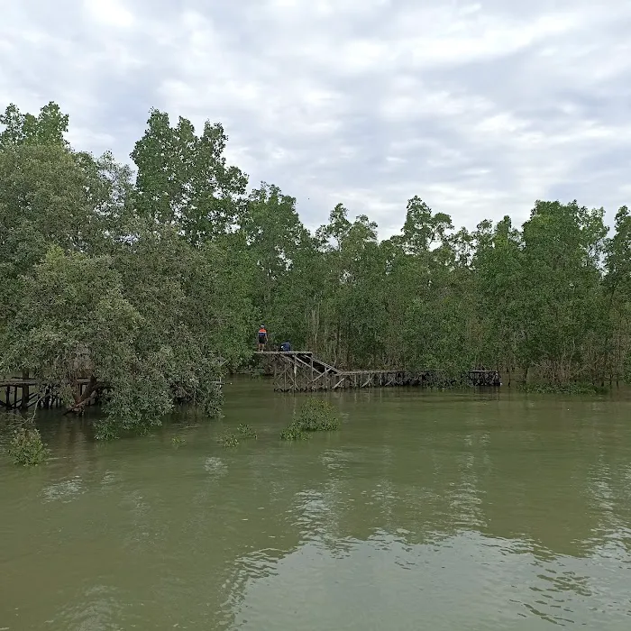 PANTAI HUTAN MANGROVE PENDOPO 5