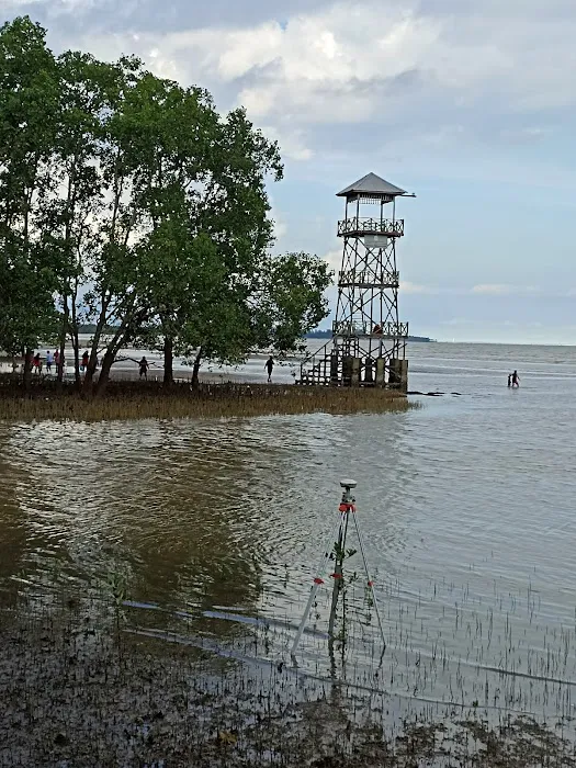PANTAI HUTAN MANGROVE PENDOPO 1