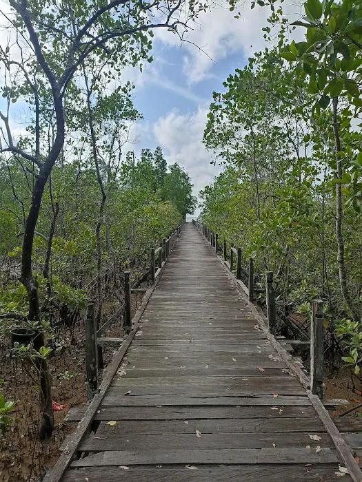 PANTAI HUTAN MANGROVE PENDOPO 2