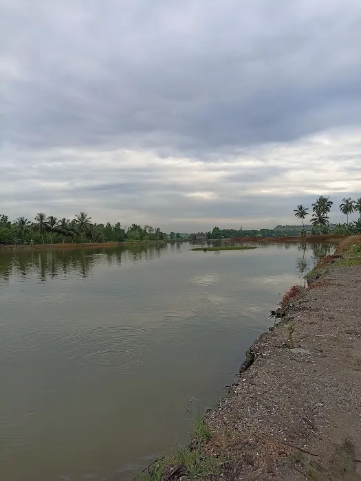 Pantai Salok Api Laut Indah 0