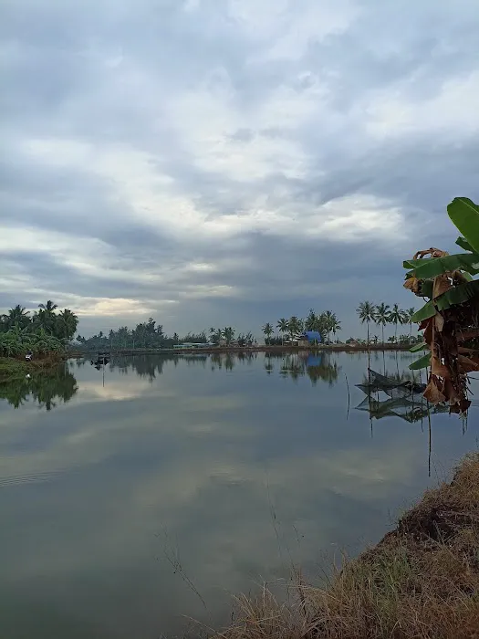 Pantai Salok Api Laut Indah 3