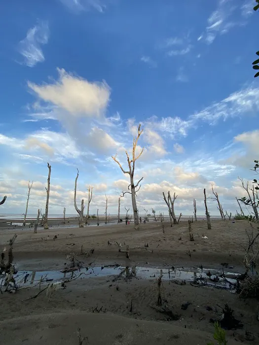 Wisata Pantai MADANI 0