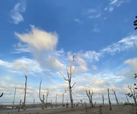 Wisata Pantai MADANI
