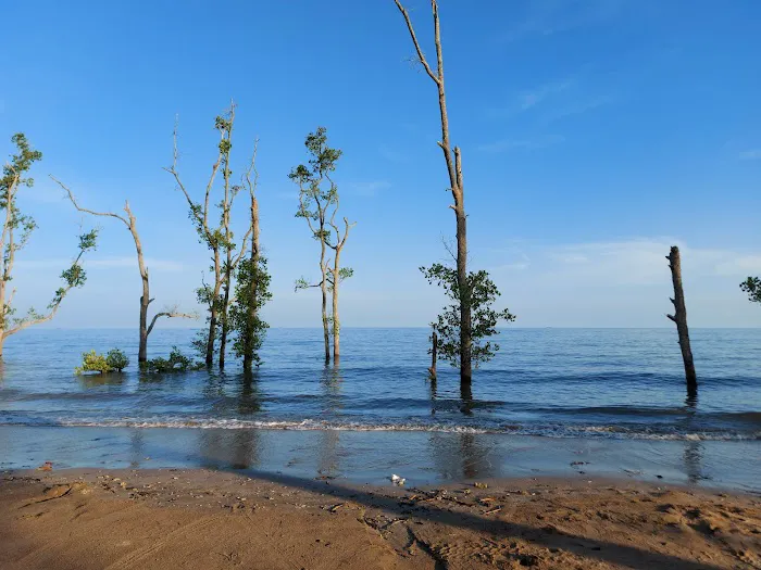 Pantai Ambalat Samboja 1