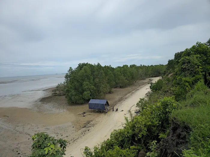Dolphin Camp Ground 2
