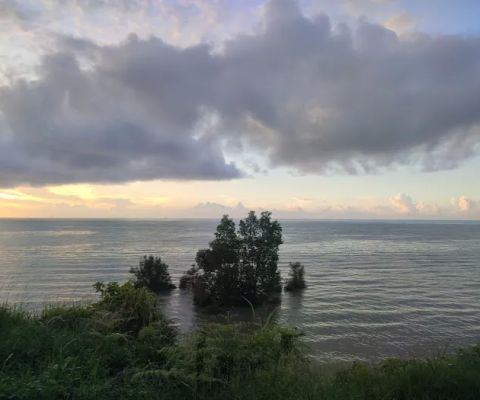 Dolphin Camp Ground