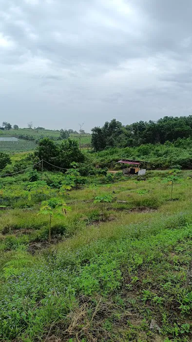 Dolphin Camp Ground 5