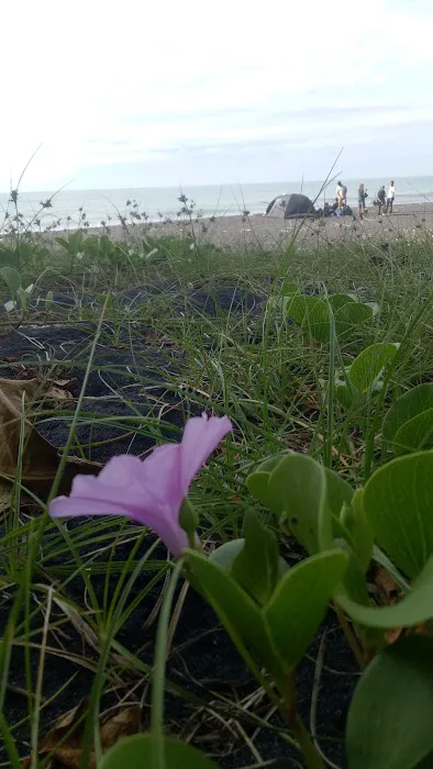 Pantai Watu Gedeg 4