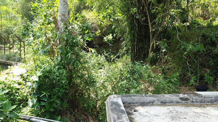 Desa Wisata Sumber Pakel Tanggung 2