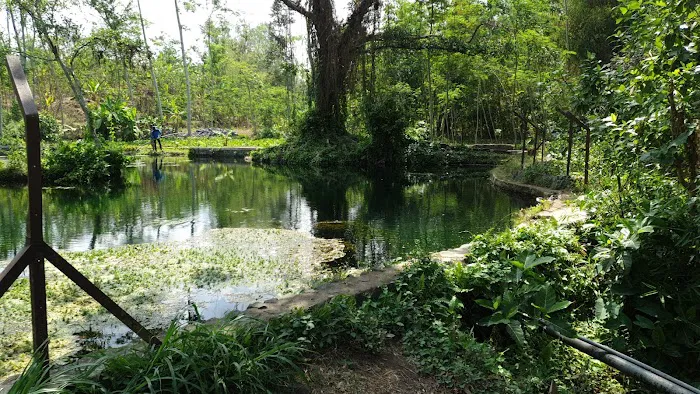 Desa Wisata Sumber Pakel Tanggung 6