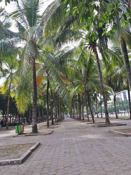 Alun-Alun Jember 0