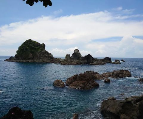 Tanjung Jolosutro