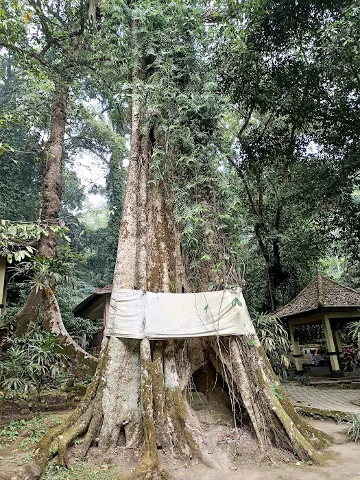 Candi Jolotundo 8