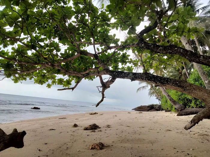 Pantai marapalam 1