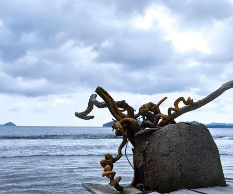 Pantai marapalam