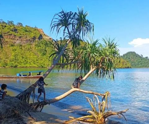 Pantai paku Sungai Nyalo