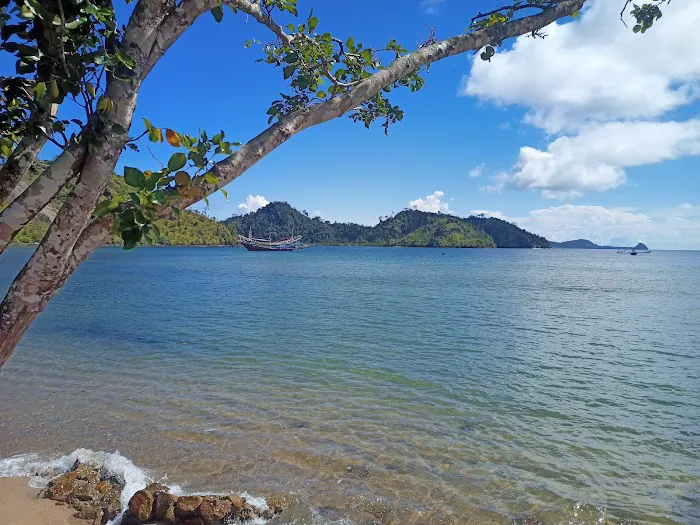 Pantai paku Sungai Nyalo 8