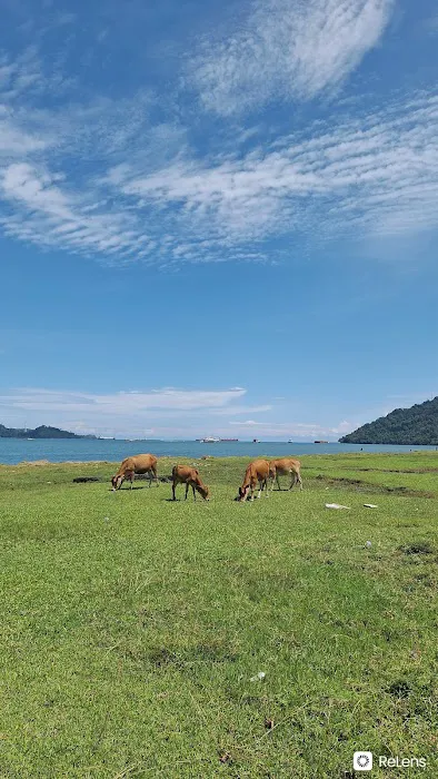 Pantai Carolina 0