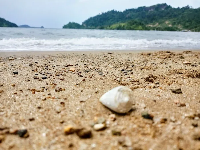Desa wisata Sungai Nyalo 2