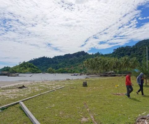 Pesona Alam Sungai Nyalo Minangkabau