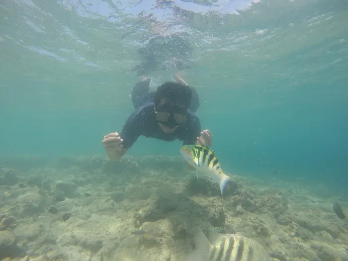 Pulau pagang 5
