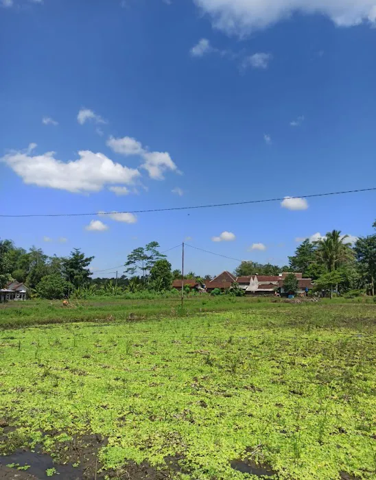 Sumber Maron 9