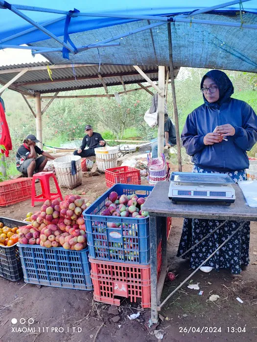 Kota Wisata Batu jawa timur 6