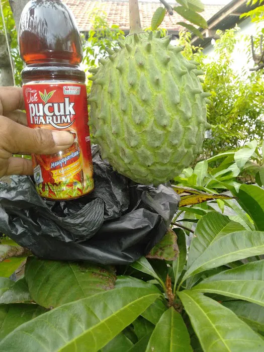 Kota Wisata Batu jawa timur 2