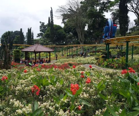 Selecta Recreation Park