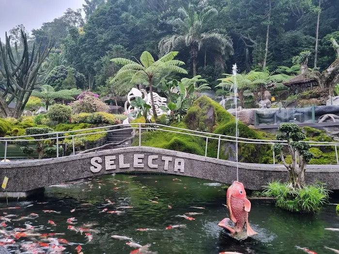 Selecta Recreation Park 4