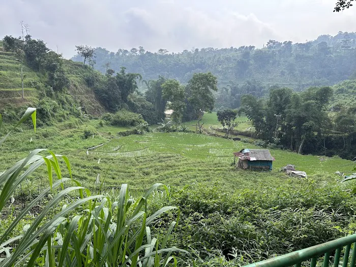 Air Terjun Coban Canggu 1
