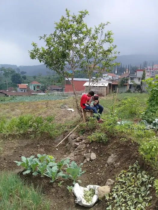 wisata taman sayur padusan 7