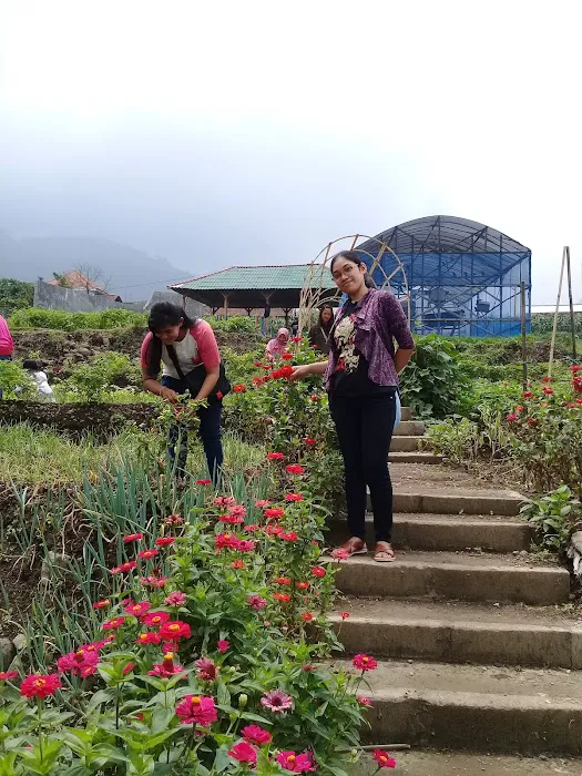 wisata taman sayur padusan 4