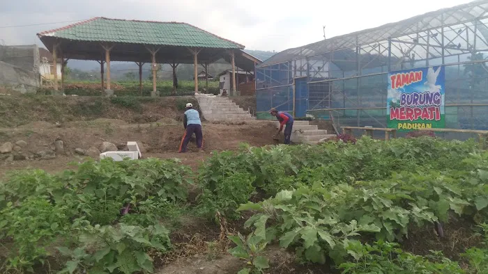 wisata taman sayur padusan 0