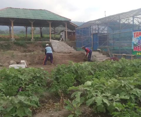 wisata taman sayur padusan