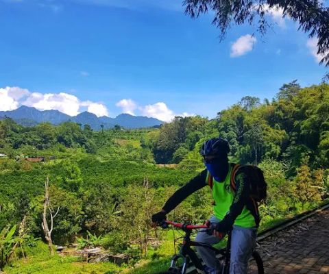 Wisata alam sumber Ngesong Banyu bening