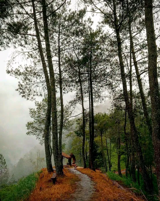 Wildlife Goa Pandavas 7