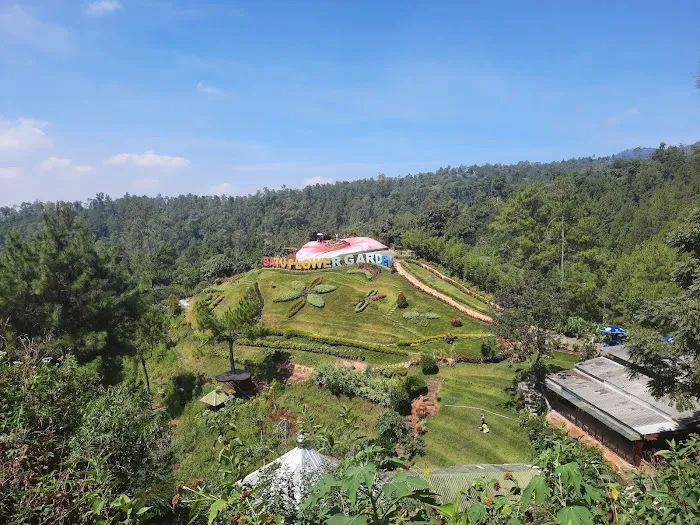 Coban Rais 7